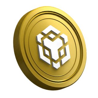 La page du guide destiné aux traders débutants, avec la cryptomonnaie BNB mise en avant